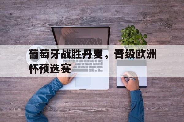 葡萄牙战胜丹麦,晋级欧洲杯预选赛